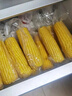 十月稻田 黄糯玉米 3.52斤(220g*8根) 25年新玉米 低脂 早餐零食 东北玉米 实拍图