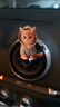 宿礼可爱猫咪汽车香薰出风香水夹亚克力小猫车载装饰品车内饰品摆件 蓝色卫衣小猫+粉色奶茶小猫-2个 实拍图