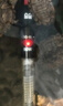 森森（SUNSUN）鱼缸加热棒自动恒温水族箱防爆加热器鱼缸水族用品 500W耀蓝尊享版 加强石英玻璃（37cm长） 实拍图