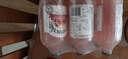 宾得宝（Bundaberg）含气葡萄柚汁饮料375ml*6玻璃瓶装  澳州网红露营发酵果汁气泡水 实拍图