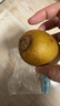 佳沛（zespri）新西兰  阳光金奇异果10粒礼盒巨大果单果约144-175g 水果 猕猴桃 实拍图