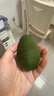京鲜生 智利进口牛油果 大果4粒装 单果130g+（非即食） 生鲜水果 实拍图