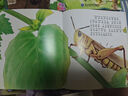 法布尔昆虫记（全10册扫码点读注音版）小学一二年级儿童科普百科启蒙绘本 [3-9岁]上书香节阅读节  实拍图