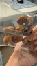 方家铺子去皮去核枣500g 17-18小袋新疆灰枣无核免洗脱皮红枣果干零食辅食 实拍图