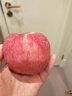 京鲜生 烟台红富士苹果 净重5.2斤/12粒  单果190-240g  水果礼盒 实拍图