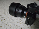 索尼（SONY）【保价11.11】FE 50mm F1.4 GM 全画幅大光圈定焦G大师镜头 人像摄影(SEL50F14GM) 实拍图