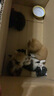 倍酷羊奶粉猫咪新生幼猫乳铁蛋白怀孕补钙产后术后牛初乳猫咪专用200g 实拍图