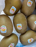佳沛（zespri）新西兰 阳光金奇异果12粒礼盒特大果单果约122-146g 猕猴桃 水果 实拍图