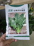 北蔬 菠菜种子大叶红根秋冬耐寒四季蔬菜种籽 红根大叶菠菜种子50g 实拍图