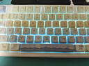 狼途LT104机械键盘电竞游戏办公键盘三模有线/蓝牙/无线键鼠套装104键全尺寸客制化平板电脑笔记本键盘 皓月冰蓝光【有线Logo屏】红轴单光 实拍图