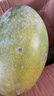 京鲜生 攀枝花凯特芒果 净重8.5斤 带箱9斤 单果400g+ 生鲜水果源头直发 实拍图