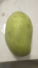 【花皮介意慎拍】新鲜四季芒果当季特产水果半熟果发货 台芒9斤单果100克以上 实拍图
