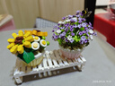 俐智（Loz）积木花拼装模型拼插永生花束送女友情人节生日礼物1674浮光初夏 实拍图