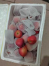 映棠 东北鸡心果5斤【顺丰快递—多地次日达】海棠果玫瑰小苹果礼盒装 3斤大果【人工精选】 现摘现发 实拍图