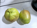 京鲜生 长城脆香梨 新梨七号 净重5斤 单果225g+ 生鲜水果礼盒 实拍图
