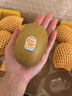 佳沛（zespri）新西兰  阳光金奇异果10粒礼盒巨大果单果约144-175g 水果 猕猴桃 实拍图