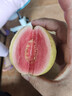 京鲜生树熟软糯红心芭乐 净重2.5斤装单果150g+ 番石榴 源头直发包邮 实拍图
