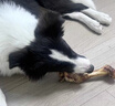 疯狂小狗宠物狗狗零食磨牙牛骨头金毛边牧中大型犬耐啃 鸡肉绕牛棒骨150g 实拍图