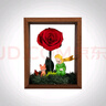 RoseBox生日礼物女士永生花小王子玫瑰花结婚纪念日送女朋友实用高级精致 实拍图