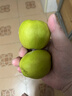 京鲜生 新疆库尔勒香梨 净重10斤 一级 单果100-120g 生鲜水果 实拍图