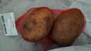 土豆500g 实拍图