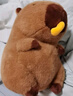 贝尚星 卡皮巴拉玩偶毛绒玩具生日礼物女生公仔布娃娃男背包薯条33cm 实拍图