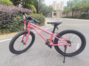Nabiis那贝斯儿童自行车青少年6-7-10-12岁超轻铝合金学生单车20寸粉 实拍图