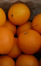 京鲜生 南非进口橙子8斤装 单果约180g起 新鲜水果礼盒 实拍图