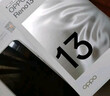 OPPO Reno13 12GB+512GB 星河蓝 超美小直屏 AI高清实况照片 IP69满级防水 5G智能拍照手机 国家补贴 实拍图