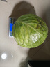 山东新鲜甘蓝包菜卷心菜圆白菜新鲜嫩绿莲花白现摘现发早餐减脂 新鲜包菜 1.5-2斤 人工挑拣 实拍图