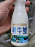 天润（terun）鲜牛奶 巴氏低温新疆纯牛奶全脂早餐鲜奶 烽火台牧场奶源210g/瓶 畅享装8瓶【值！80%选】 实拍图