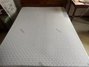 金橡树泰国进口天然乳胶原液床垫榻榻米双人床垫 泰舒1.8*2米 软硬适中 实拍图