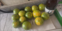 天乐优选麻阳冰糖橙新鲜橙子水果当季整箱果冻甜橙手剥橙子爆汁应季时令 带箱5斤单果70-75mm净重4.5斤 实拍图