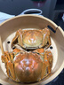 【活蟹】今锦上大闸蟹鲜活螃蟹礼盒公4.2-4.5两母3.0-3.3两4对8只精品礼盒礼品去绳足重 实拍图