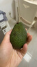 京鲜生 智利进口牛油果 大果4粒装 单果130g+（非即食） 生鲜水果 实拍图