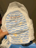 巴布豆小波浪超柔拉拉裤XL60片(11.5-14KG)婴儿尿不湿 干爽 透气 实拍图