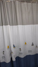 韩娜（Hanna）浴帘布浴室隔断帘洗澡帘免打孔套装卫生间窗帘门帘淋浴防水防霉 新款吊灯（保暖防水-防霉不透） 套装240宽*200cm高+2.5杆 环 实拍图
