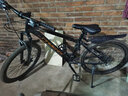 凤凰上海凤凰山地车自行车男士女式学生成人变速宽胎越野公路赛单车 【钢架/全套竞速轴承】条轮消黑 24寸24速【建议身高138-168cm】 实拍图