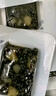 东阿阿胶桃花姬阿胶糕75g*2盒装即食阿胶糕营养品补品倪妮推荐 实拍图