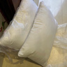 南极人（Nanjiren）枕头一对套装家用睡眠深度枕芯羽丝绒单人五星级酒店枕软枕双人枕 梦叶草-双边立体普通白【2只装】 48x74cm 实拍图