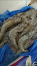东上御品虾 青岛大虾基围虾鲜活青虾白虾海虾对虾冰虾冻虾生鲜 虾类 海鲜 3.3斤(净重)  盐冻大虾【单只冻】 17-21cm【特大虾皇】 实拍图