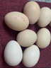 1号会员店One's Member Omega-3可生食标准鲜鸡蛋 30枚 单枚50g 源头直发 实拍图