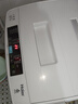 Haier海尔洗衣机波轮神童6.5/8公斤洗衣机全自动小型家用租房学生宿舍 智能称重量 桶自洁 换新补贴 6.5KG小神童波轮洗衣机全自动+桶自洁 实拍图