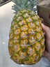 佳农 黑钻菠萝1粒装 巨无霸 菲律宾凤梨 净重3.6斤 生鲜水果 包邮 实拍图