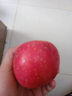洛川苹果陕西延安特产红富士时令苹果水果礼盒送苹果生鲜新鲜脆甜整箱批发 12个75mm 严选果 礼盒装 实拍图