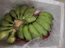 广西小米蕉小香蕉自然熟迷你香蕉苹果蕉小芭蕉新鲜水果特产鸡蕉 小米蕉 3斤 泡沫箱打包 实拍图