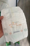 MOONY极上系列极光薄尿不湿超薄散热 拉拉裤XL36片 (12-22kg) 实拍图