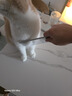 茨格曼  宠物排梳猫梳子去浮毛大号狗梳子专用开结梳子泰迪美容用品 实拍图