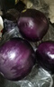 山东圆茄子现摘现发当季新鲜紫色茄子时令新鲜蔬菜生鲜烧烤食材 山东圆茄 4斤 带箱 实拍图