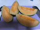 正宗哈密瓜5/9斤新鲜水果当季冰淇淋蜜瓜脆甜香瓜网纹非新疆包邮m 3斤整箱 实拍图